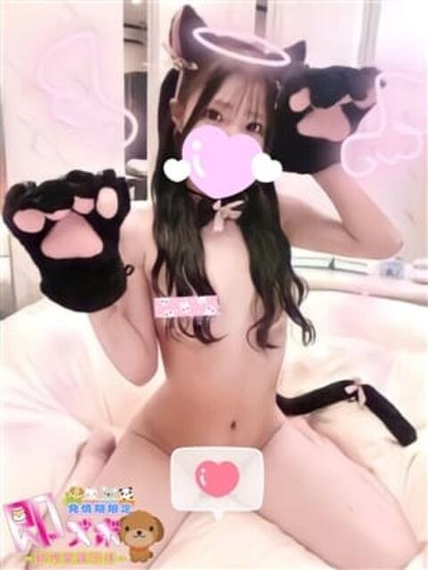 ぷーにゃん☆EX猫嬢☆ 発情期限定!!即ズボ動物愛護団体(デリヘル)