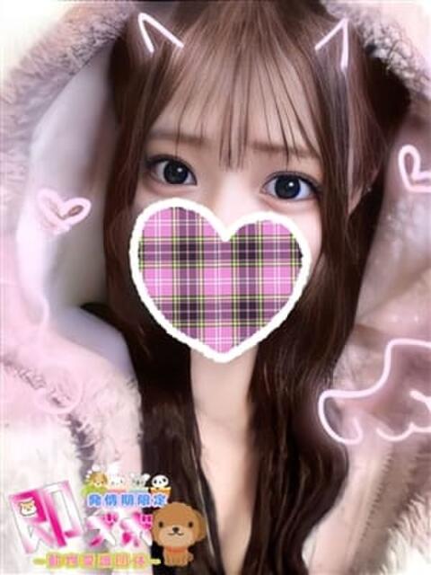 ぷーにゃん☆EX猫嬢☆ 発情期限定!!即ズボ動物愛護団体(デリヘル)