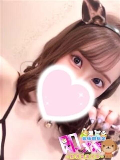 ふぇあにゃん☆EX猫嬢☆ 発情期限定!!即ズボ動物愛護団体(デリヘル)