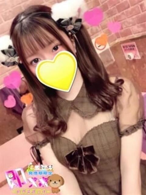 わいにゃん☆超絶美少猫☆ 発情期限定!!即ズボ動物愛護団体（デリヘル）