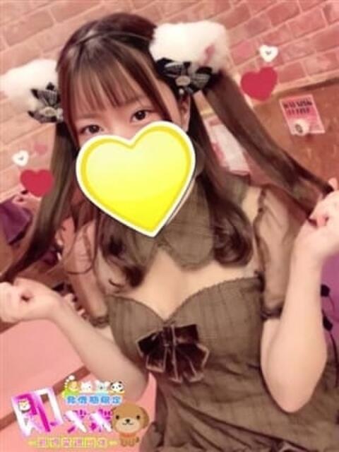 わいにゃん☆超絶美少猫☆ 発情期限定!!即ズボ動物愛護団体（デリヘル）