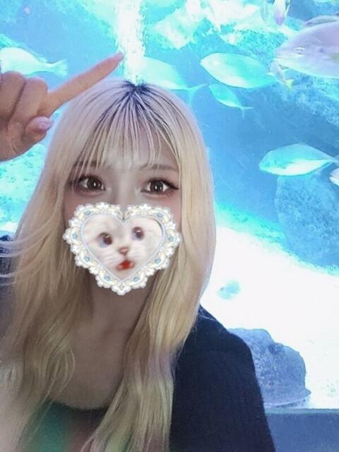 柏木みき JKリフレ東京 秋葉原本店(派遣リフレ)