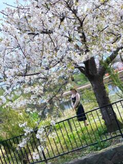 石川　さくら 30・40・50代☆人妻熟女コレクション（柏/デリヘル）