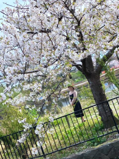 石川　さくら 30・40・50代☆人妻熟女コレクション（人妻系デリヘル）