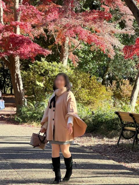 立花 人妻風俗チャンネル(人妻デリヘル)