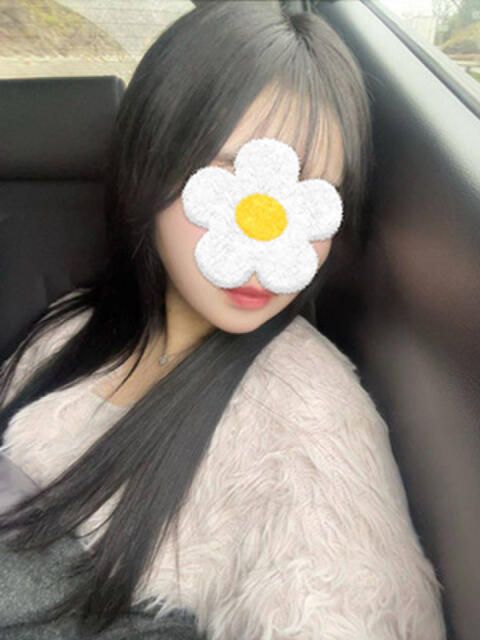 しろな ぷりぷりプリン つくば店(素人専門デリヘル)