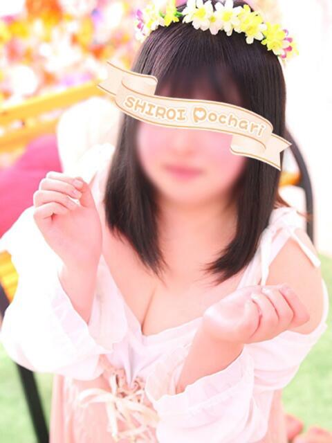 まどか 白いぽっちゃりさん仙台店（ぽっちゃり専門デリヘル）