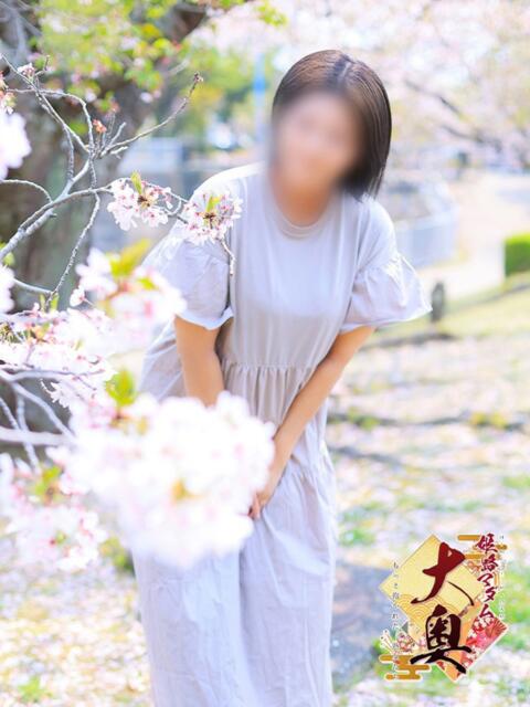 西内社(にしうちやしろ) 姫路マダム大奥（デリヘル）