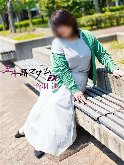 音羽 遙 五十路マダム エクスプレス京都店(熟女デリヘル)