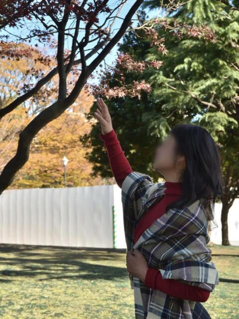 香取 人妻風俗チャンネル（人妻デリヘル）