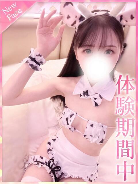 なぎさ プロフィール 京都店(デリヘル)