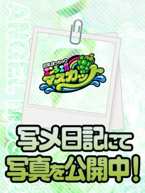 るか エンジェルマスカット(巨乳ぽっちゃりデリヘル)