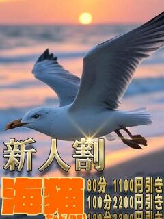 海猫 とりはだ（日暮里/デリヘル）
