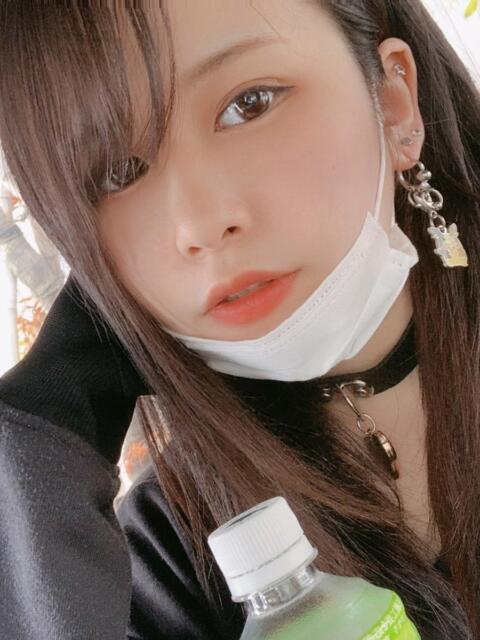 めい 横浜・関内サンキュー（激安デリヘル）