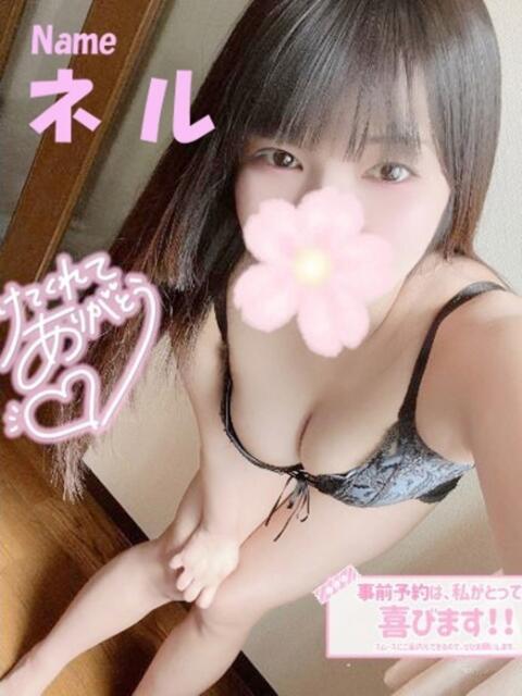 ネル 石庭（ソープランド）