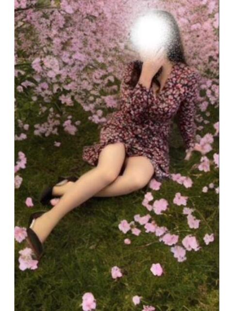 桜 マッタリ熟女（熟女デリヘル）