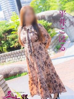 平井こはる 五十路マダムエクスプレス豊橋店（カサブランカグループ）（豊橋/デリヘル）