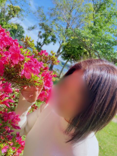 葉月 海羽 30・40・50代☆人妻熟女コレクション(人妻系デリヘル)