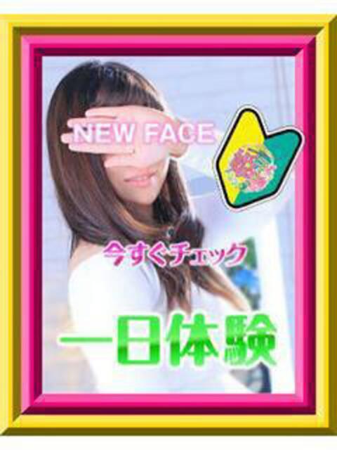 ようこ 姫コレクション(千葉)（デリヘル）