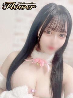 しゅうか Flower（フラワー）（横須賀中央/デリヘル）