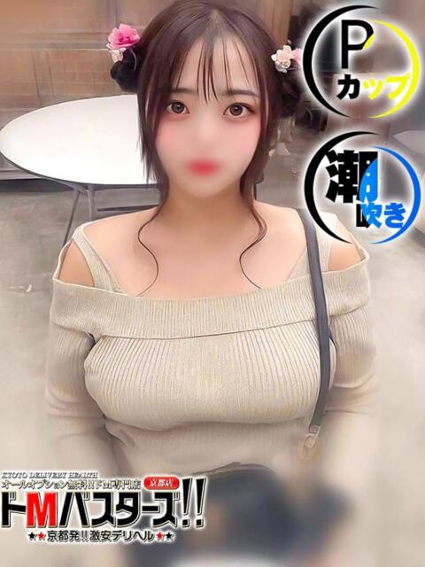 わんだふる ドMバスターズ 京都店(デリヘル)