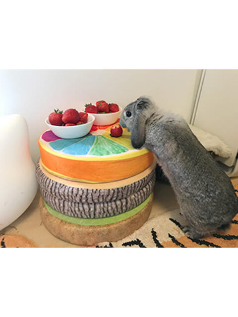 うさぎ ぷるりんクエスト上野浅草鶯谷秋葉原デリヘル王国（ホテル派遣ヘルス）