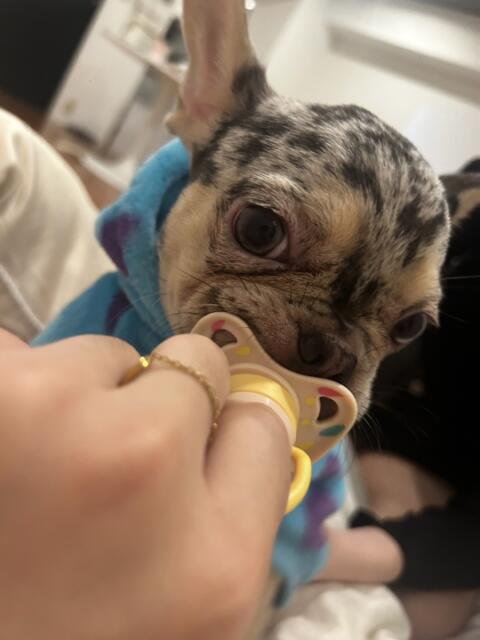 ☆なな☆ VIP Lounge（2ショットキャバクラ）