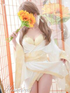 ひまわり