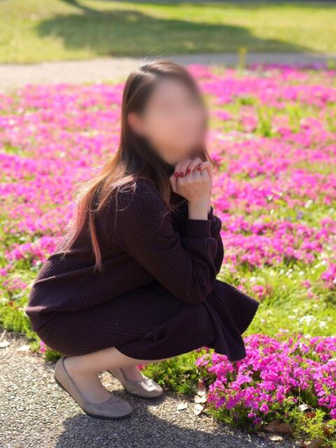 さくら [優良人妻店]セレブスタイル（山口～防府～萩）（人妻デリヘル）