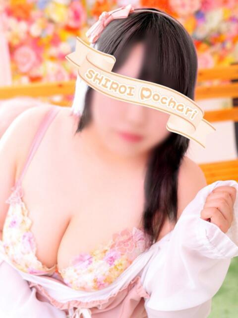 ももか 白いぽっちゃりさん仙台店（ぽっちゃり専門デリヘル）