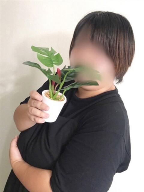 ここ 鹿児島ちゃんこ 天文館店(ぽっちゃり系デリヘル)