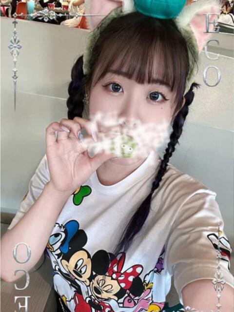 せいな スピードエコ日本橋店(ホテヘル)