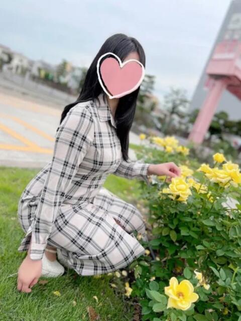 さくら DELICIOUS(デリシャス)（デリヘル）