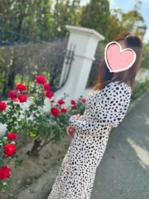 ヒスイ DELICIOUS(デリシャス)（デリヘル）