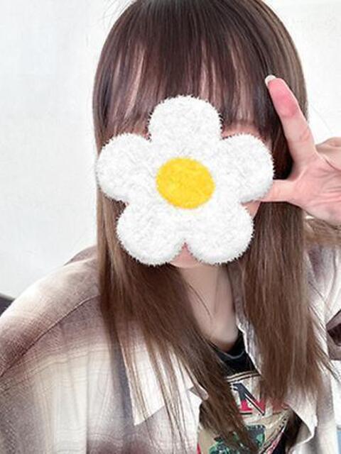 ゆのみ ぷりぷりプリン つくば店（素人専門デリヘル）