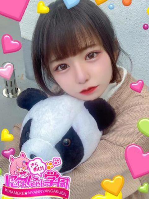 ヒメカ きらめけ！にゃんにゃん学園in川口（デリヘル）