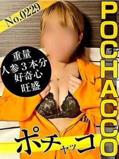 No.0229 ポチャッコ 札幌ダイナマイト（すすきの/デリヘル）