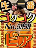 No.5959 ビア 札幌ダイナマイト（すすきの/デリヘル）