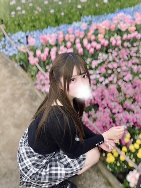 白咲ゆきの ブルーバード（デリヘル）