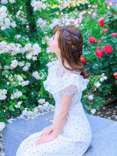 せな やんちゃな子猫日本橋本店（日本橋/デリヘル）