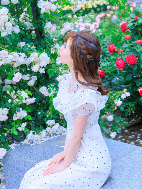 せな やんちゃな子猫日本橋本店(ホテヘル&デリヘル)