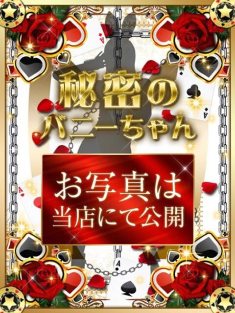 マイ【ドM気質100%敏感体質】 ドMなバニーちゃん和歌山店(ソープランド)