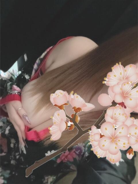 まこ おいらん(薬研堀)（セクキャバ）