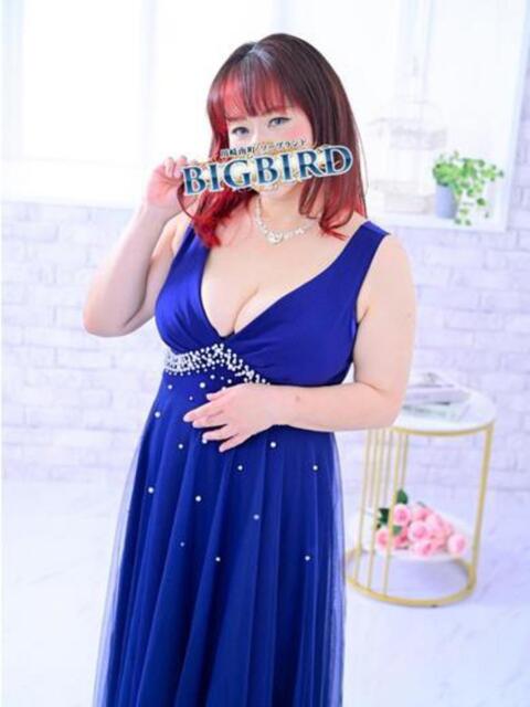 瑠璃(るり) ビッグバード(ソープランド)