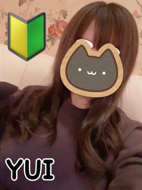 新人ゆい☆デリヘル未経験 セレブ パラダイス（デリヘル）