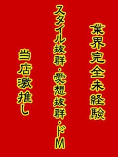 最高 奴隷コレクション（日本橋/デリヘル）