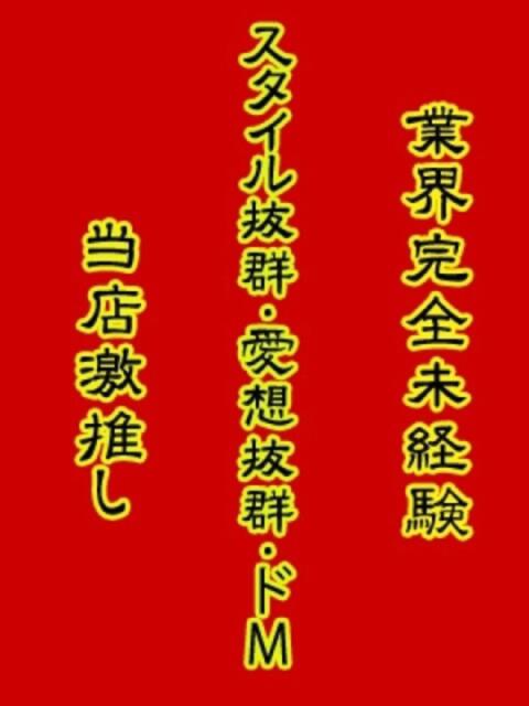 最高 奴隷コレクション（デリヘル）