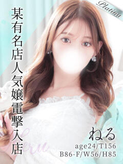 ねる 東京リップ 上野店（上野/デリヘル）