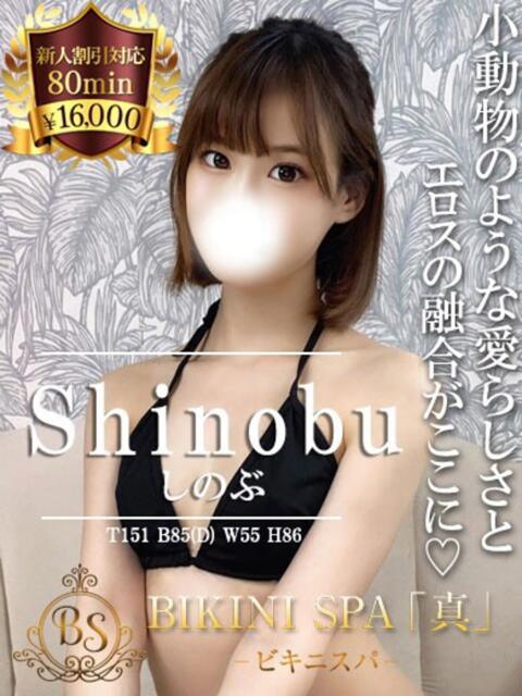 しのぶ BIKINISPA「真」-ビキニスパ-（派遣型風俗エステ）