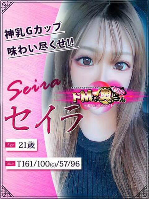 セイラ ドMな奥さん 十三店（人妻ホテヘル＆デリヘル）
